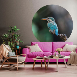 WallArt Círculo de papel de parede The Kingfisher 142,5 cm D