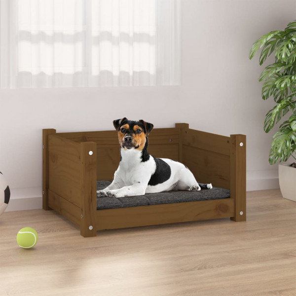 Cama para cão em madeira maciça de pinho castanho mel 55,5x45,5x28 cm D