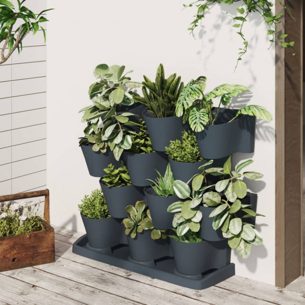 Conjunto de plantas jardim vertical D