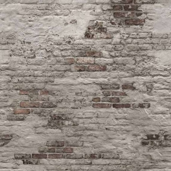 DUTCH WALLCOVERINGS Mural fotográfico Old Brick Wall gris D