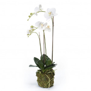 Emerald Orquídea borboleta artificial branca de 70 cm D