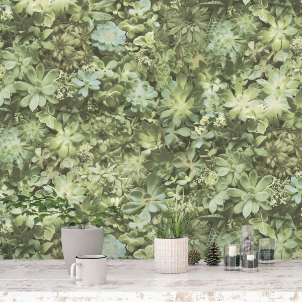 Evergreen Papel pintado Succulent verde y beige D