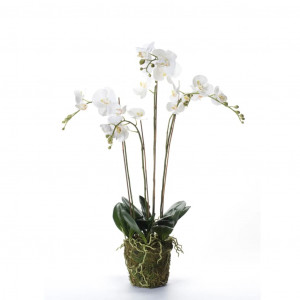 Emerald Orquídea artificial con musgo blanca 90 cm 20.355 D