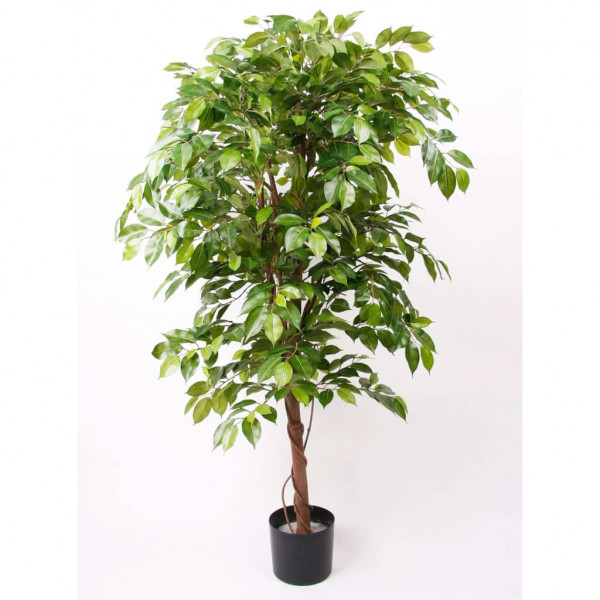 Emerald Ficus Deluxe em pote de 140 cm D