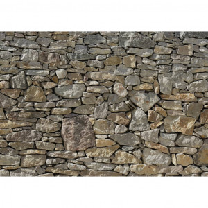 Komar Mural fotográfico de parede de pedra 368x254 cm 8-727 D