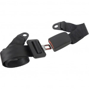 Carpoint Cinturón de seguridad 2 puntos negro ajustable 1 lado D