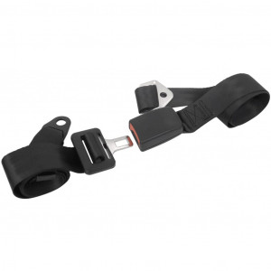Carpoint Cinturón de seguridad de 2 puntos ajustable en 2 lados negro D