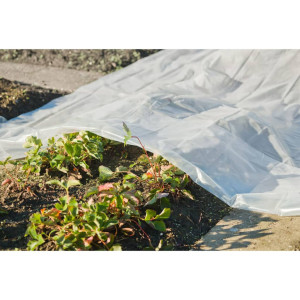 Nature Cobertor para plantas transparente 4x6 m 200µ D
