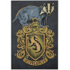 Notebook a5 Harry Potte hufflepuff 1