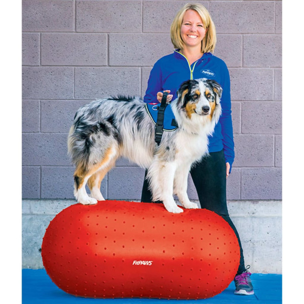 FitPAWS Plataforma de equilibrio para mascotas Trax Peanut rojo 50 cm D