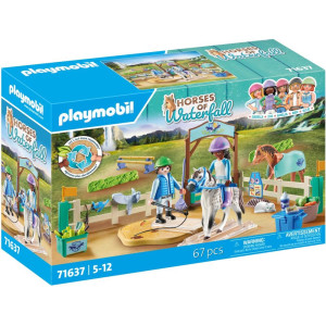 Playmobil escuela moderna de equitación D