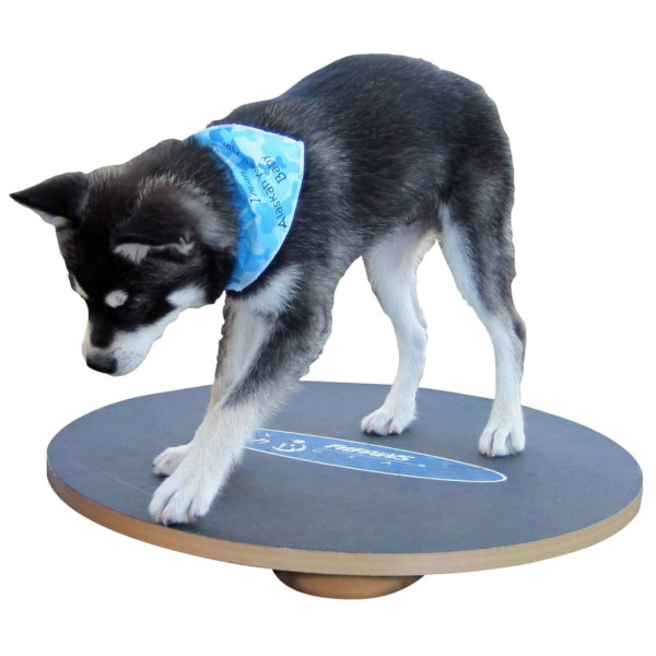 FitPAWS Prancha de equilíbrio preta 50 cm D