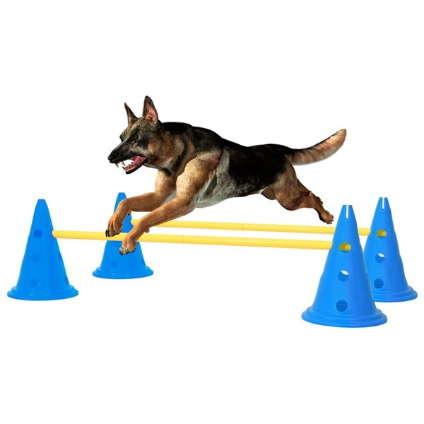 Juego de obstáculos para perros azul y amarillo D