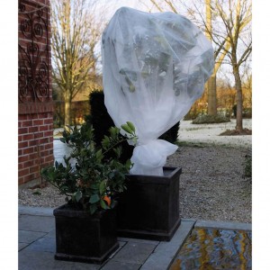 Nature Funda cobre plantas polares anti-gelado branco 30 g/m2 2x10 m D