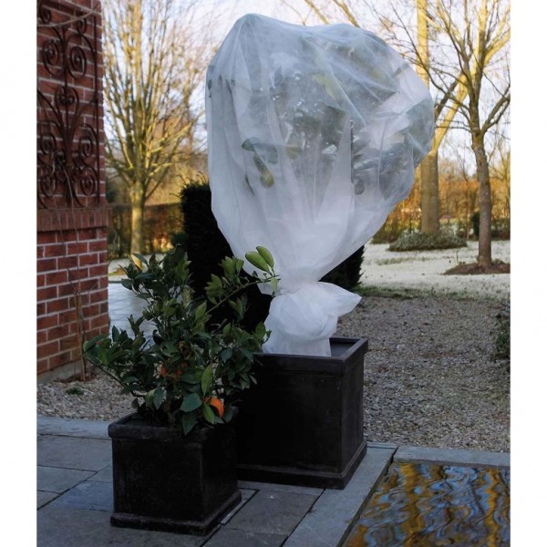 Nature Funda cubre plantas polar anti-heladas blanco 30 g/m² 2x10 m D