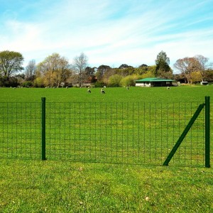 Set de euro vedação de aço verde 25x0.8 m D