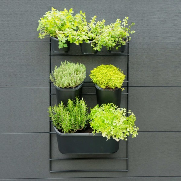 Nature Kit de pared para jardín vertical D